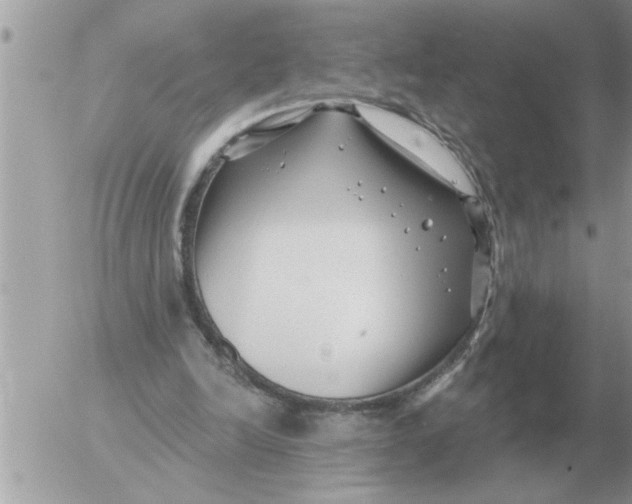 X0000054440246200508270020