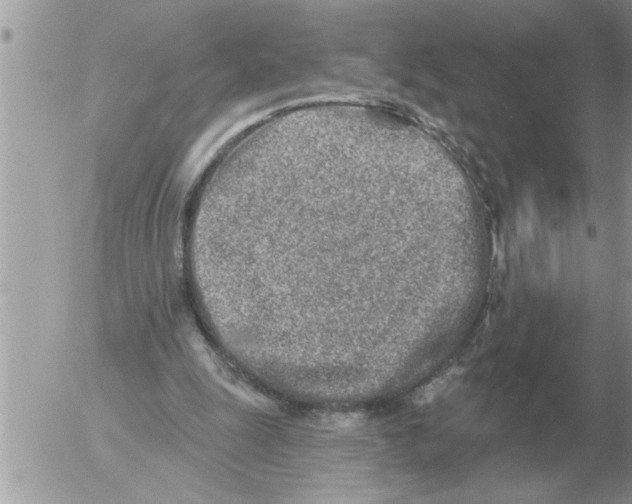 X0000054440247200508270020