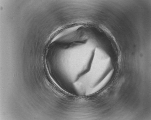 X0000054440249200508270020