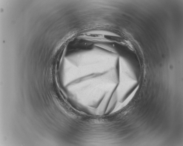 X0000054440250200508270020