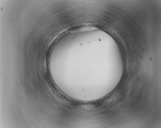 X0000054440251200508270020