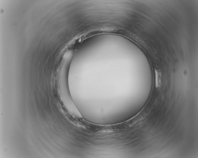 X0000054440252200508270020