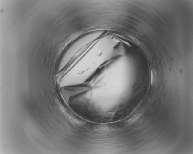 X0000054440253200508270020