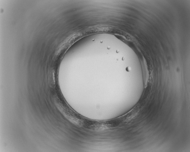 X0000054440254200508270020