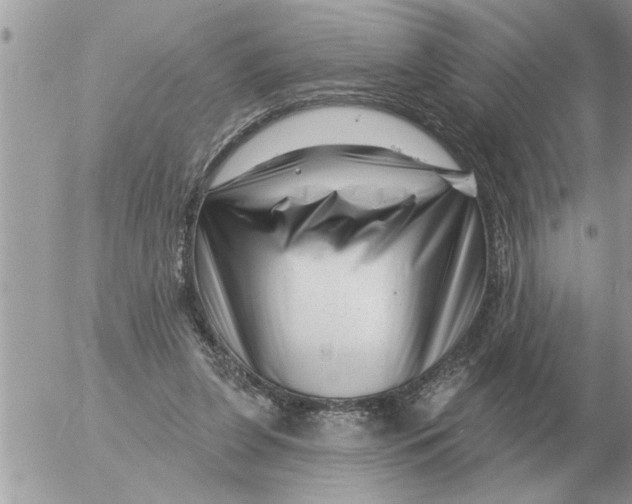 X0000054440255200508270020