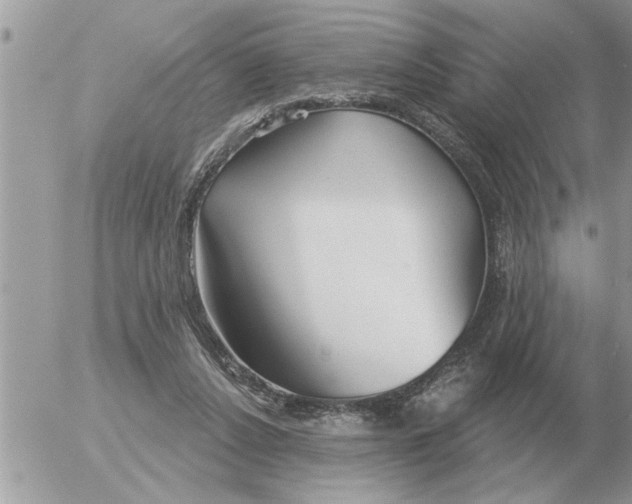 X0000054440256200508270020