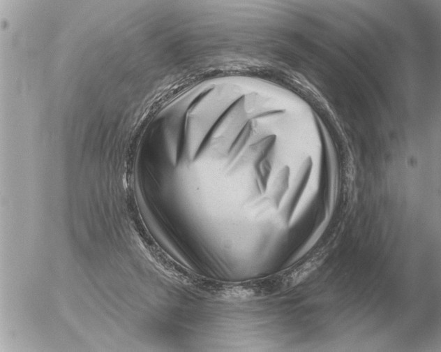 X0000054440257200508270020