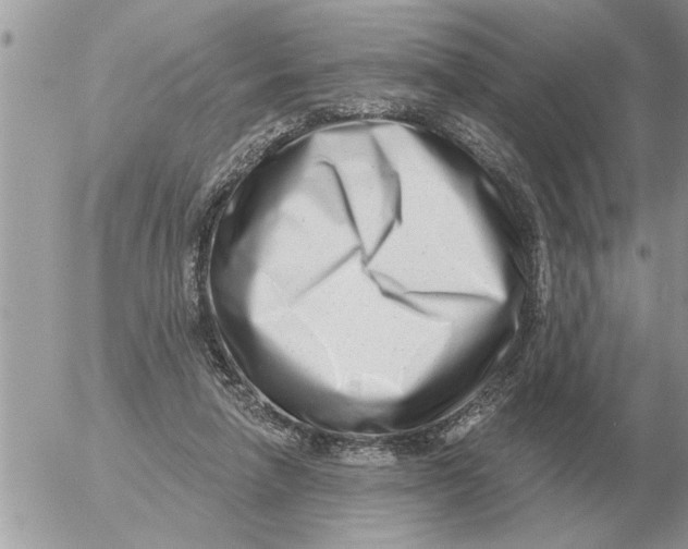 X0000054440258200508270020