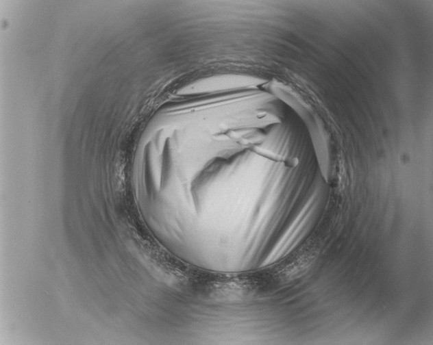 X0000054440259200508270020