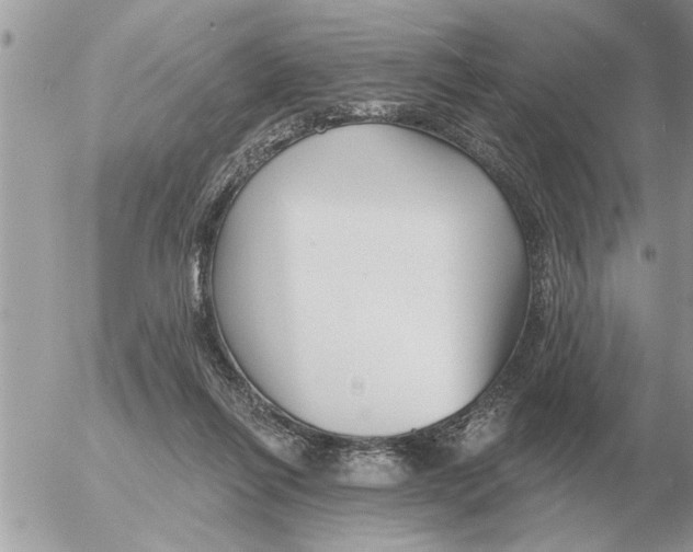 X0000054440262200508270020