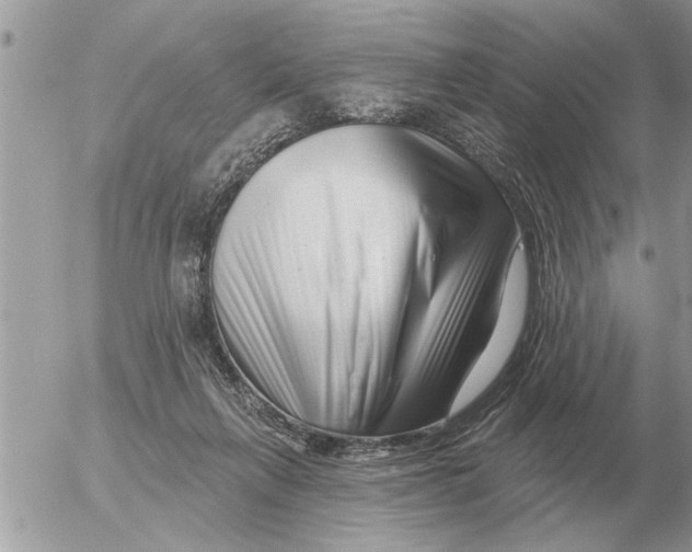 X0000054440263200508270020