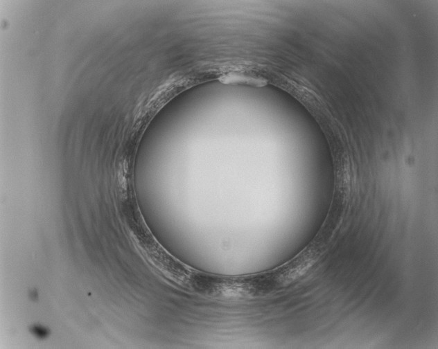 X0000054440264200508270020