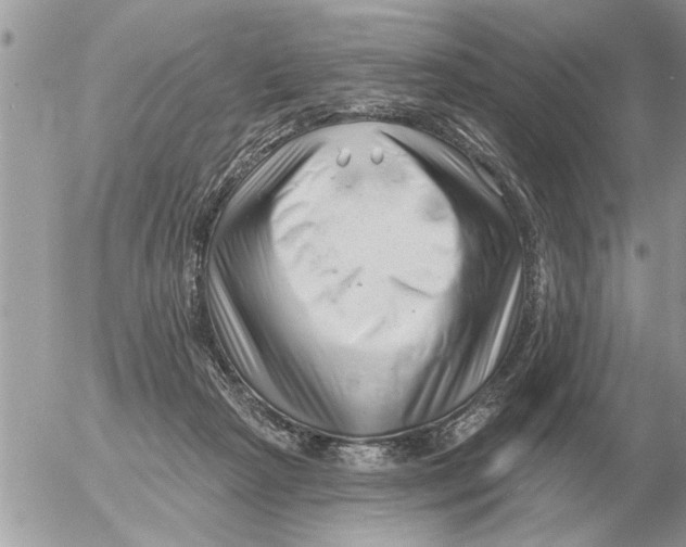 X0000054440265200508270020