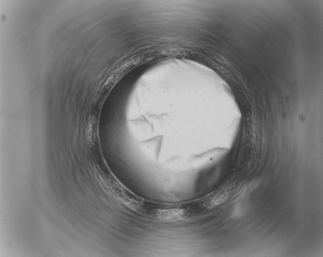 X0000054440266200508270020