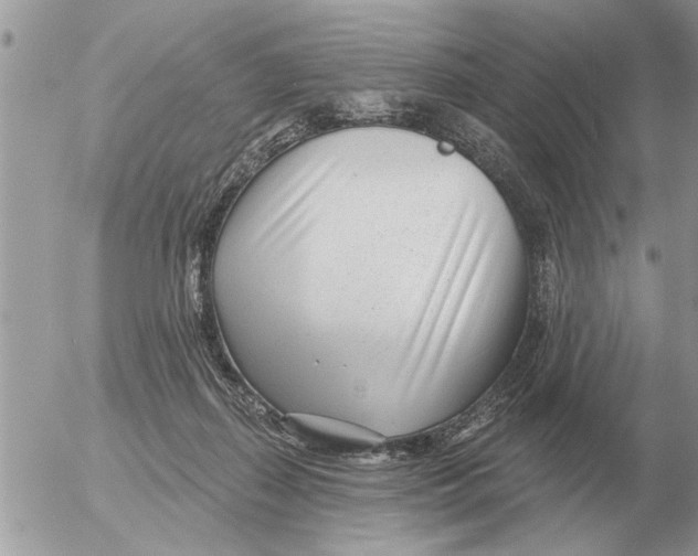 X0000054440267200508270020