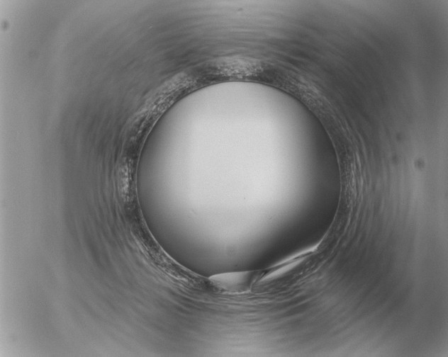 X0000054440268200508270020