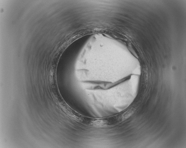 X0000054440269200508270020