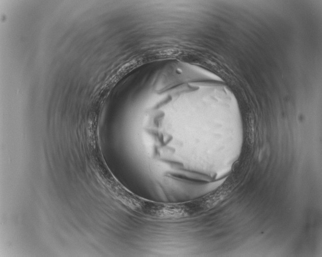 X0000054440270200508270020