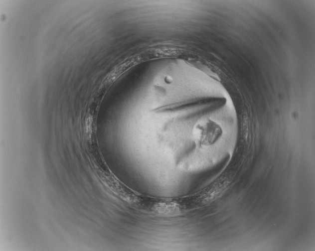 X0000054440271200508270020