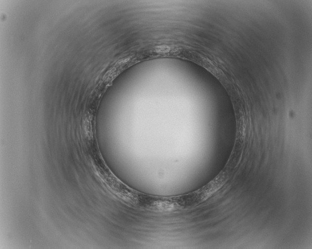 X0000054440272200508270020