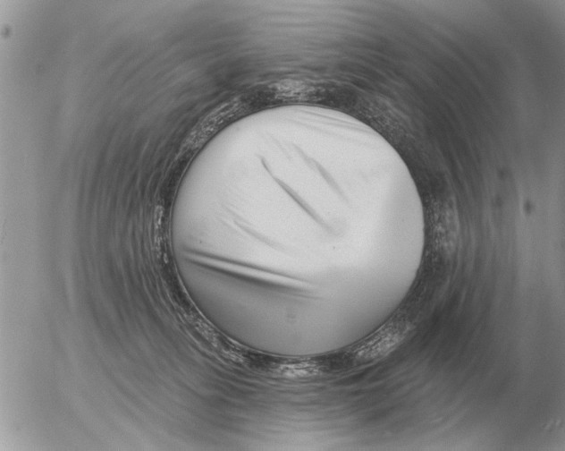 X0000054440275200508270020