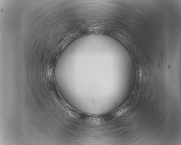 X0000054440276200508270020