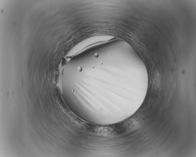 X0000054440277200508270020