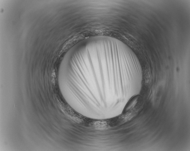 X0000054440279200508270020