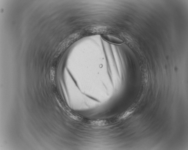 X0000054440281200508270020