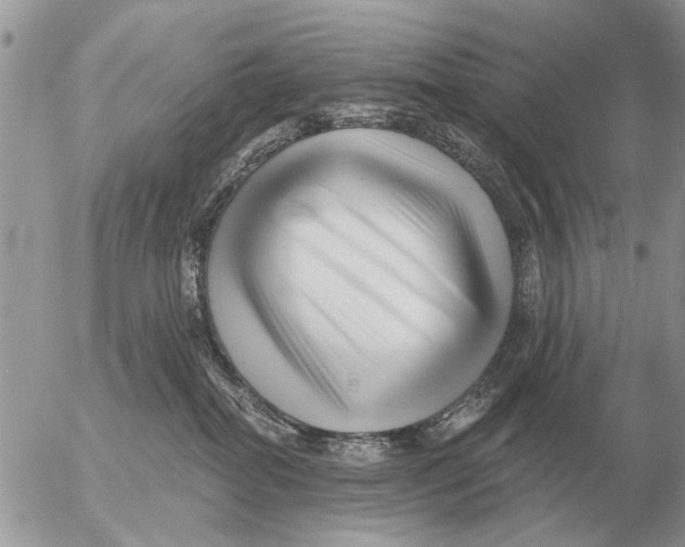 X0000054440282200508270020