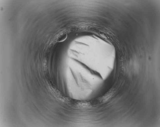 X0000054440283200508270020