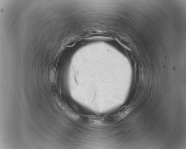 X0000054440285200508270020