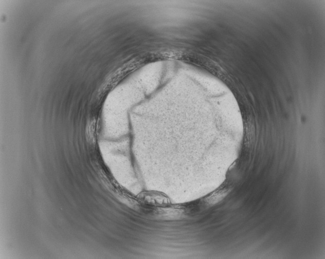 X0000054440286200508270020