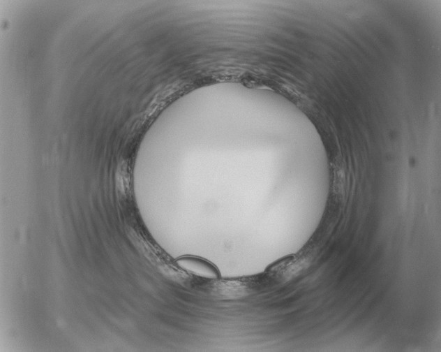 X0000054440287200508270020