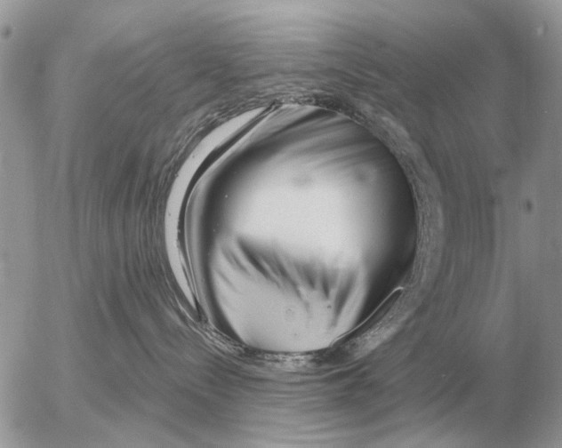 X0000054440288200508270020