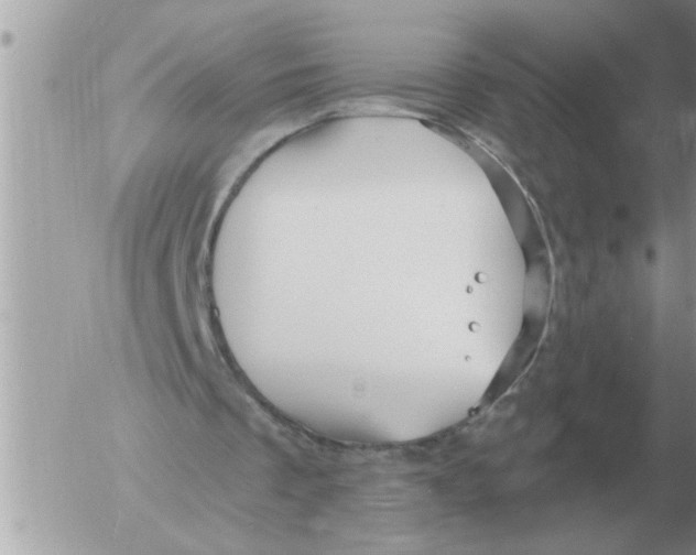 X0000054440289200508270020