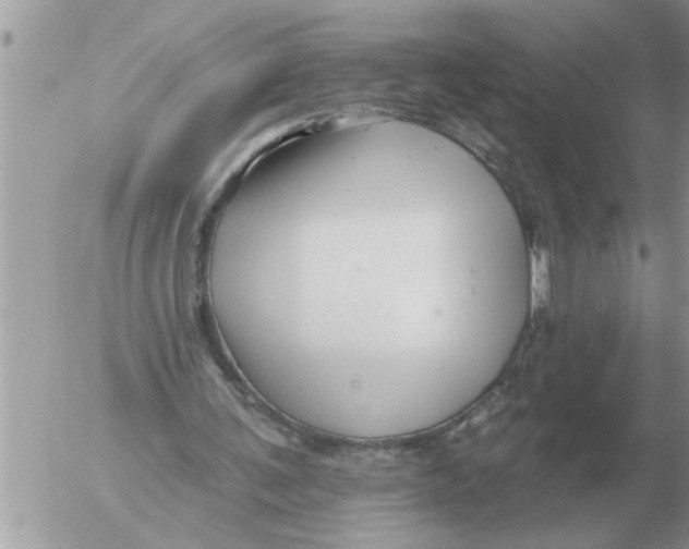 X0000054440291200508270020