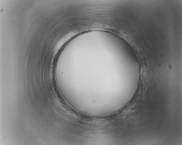 X0000054440292200508270020