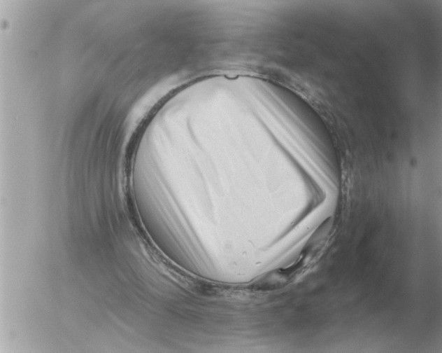 X0000054440294200508270019