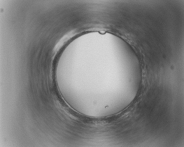 X0000054440296200508270019