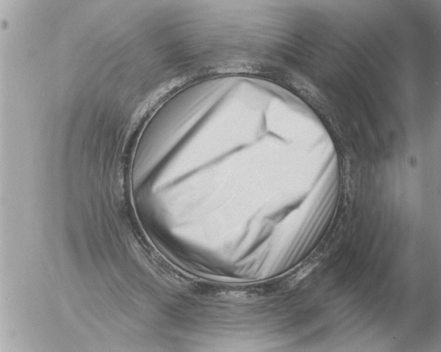 X0000054440298200508270019