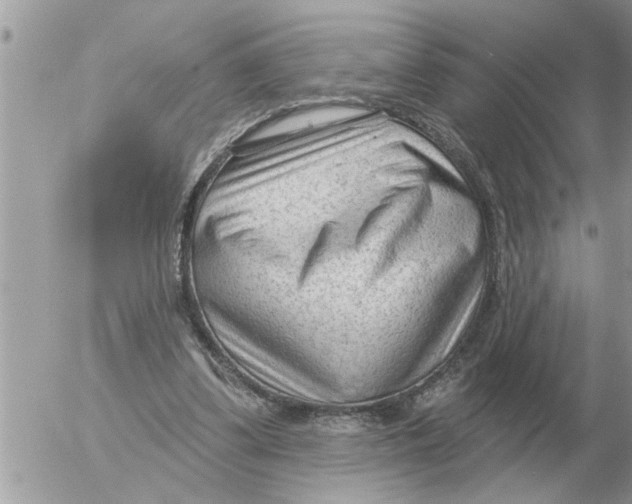 X0000054440299200508270019