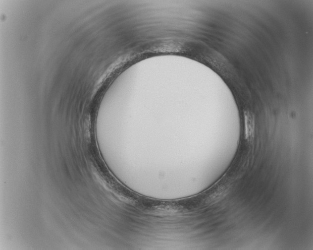 X0000054440300200508270019