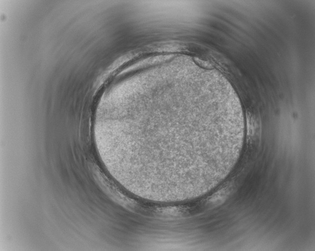 X0000054440301200508270019