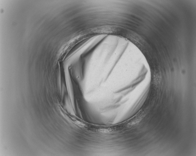 X0000054440302200508270019