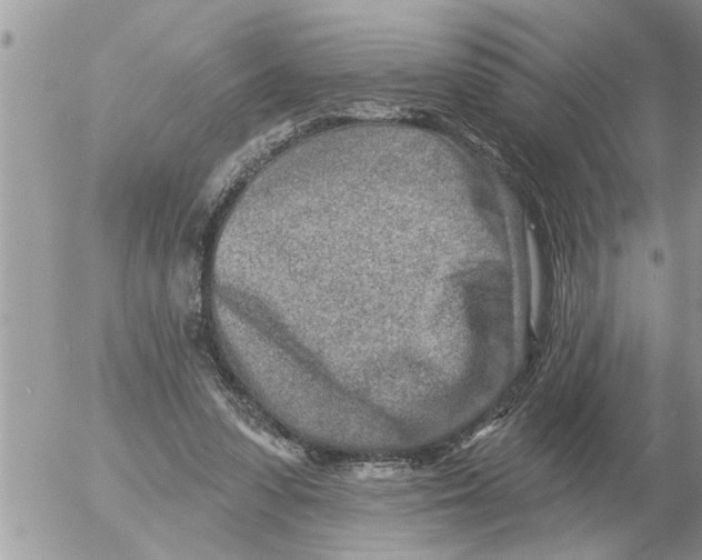 X0000054440303200508270019