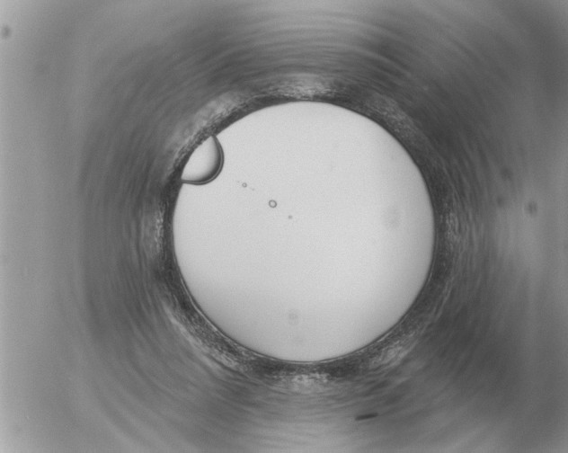 X0000054440304200508270019