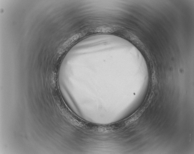 X0000054440305200508270019