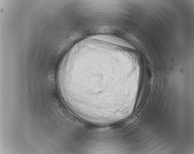 X0000054440306200508270019