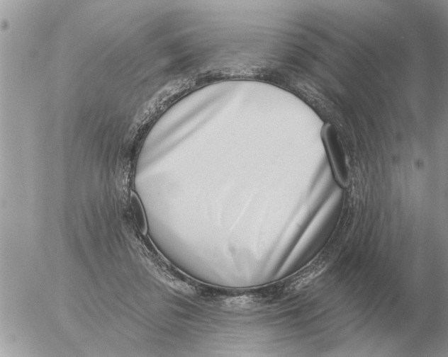 X0000054440309200508270019